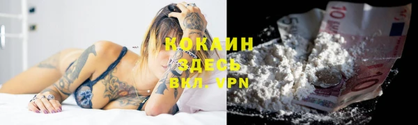 молекула духа Анива