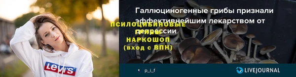 бошки Мегион