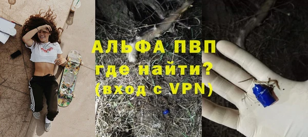 гашик Медногорск