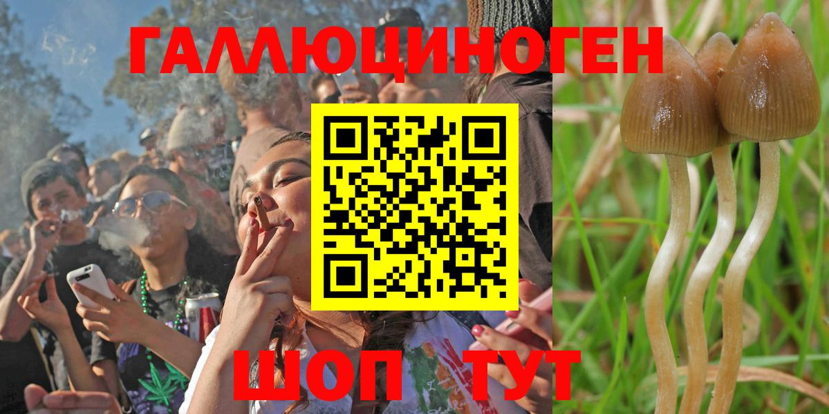 Псилоцибиновые грибы MAGIC MUSHROOMS  Вход с VPN  Ржев 