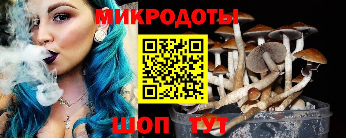 что такое   Ржев  Галлюциногенные грибы Magic Shrooms  Псилоцибиновые грибы GOLDEN TEACHER 